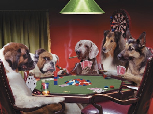 Il cane campione di poker